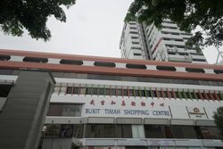 Bukit Timah Shopping Centre (D21), Retail #475215901